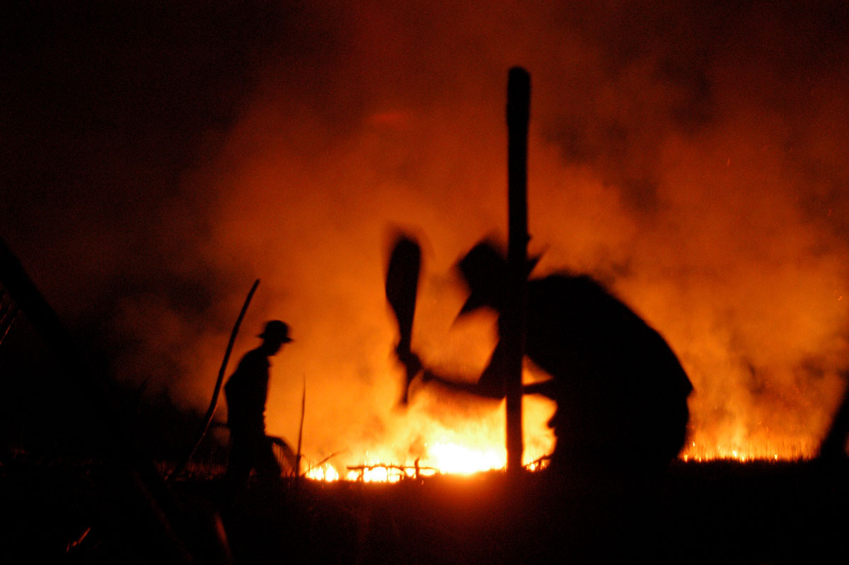 Holly Wilmeth, Sugar Cane Workers
